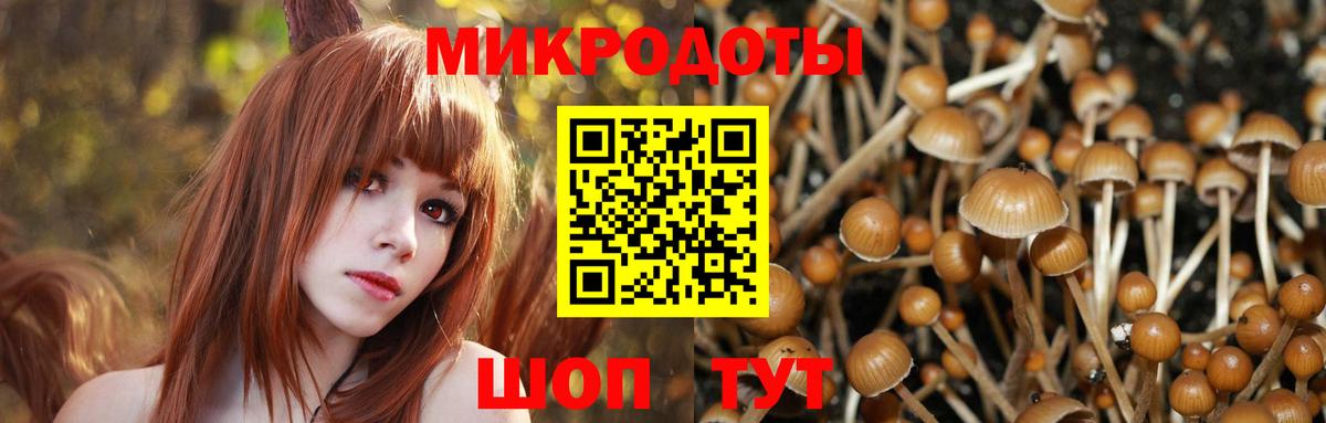 Галлюциногенные грибы GOLDEN TEACHER  дарнет шоп  Самара  Вход с VPN 